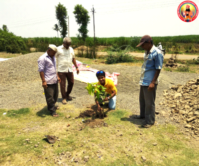 Sapling plantation at village Dudhgaon, Sangli on the occasion of World Environment Day.